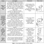 Table 2. Urban-spatial organization of Ahar, Authors