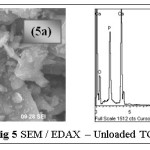 Fig 5 SEM / EDAX â€“ Unloaded TGT