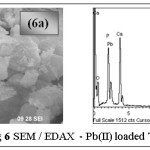 Fig 6 SEM / EDAX - Pb(II) loaded TGT