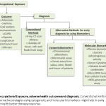 Fig:1. Occupational Exposure, adverse health outcome and diagnosis. Conventional methods along with alternative strategies using cytogenetic and molecular biomarkers  might help in early detection with better therapy response.