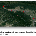 Fig. 1. Map showing sampling locations of plant species alongside Markanda to Paonta National  Highway (NH-7) in Himachal Pradesh