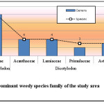 Figure 2a 