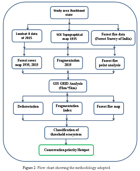 Flow Chart Of Classification Of Ecosystem