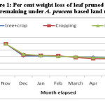 Figure 1: Per cent weight loss of leaf pruned biomass remaining under A. procera based land uses