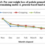 Figure2: Per cent weight loss of petiole pruned biomass  remaining under A. procera based land uses