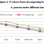 Figure 4. N release from decomposing leaves biomass of A. procera under different land use