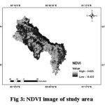 Fig 3: NDVI image of study area