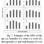 Fig. 7. Estimates of the NPP of foli-age (a), branches (b), stems (c), roots (d), aboveground (e) and total biomass (f) over zonal belts in larch stands of 100 years of age and of continentality index of 75.