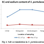 Fig 4. Salt accumulation in S. portulacastrum