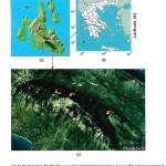 Fig.1: Study region (inside the square) in Cephalonia island (a), Greece (b) and measurement sites (W1, W2, E1, E2) at mountain Aenos (c), modified from Google Earth9