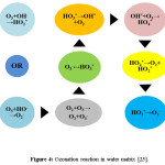 Figure 4: Ozonation reaction in water matrix [25]
