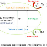 Figure 6: Schematic representation Photocatalysis of mechanism