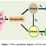 Figure 7: Flow operational diagram of WAO process
